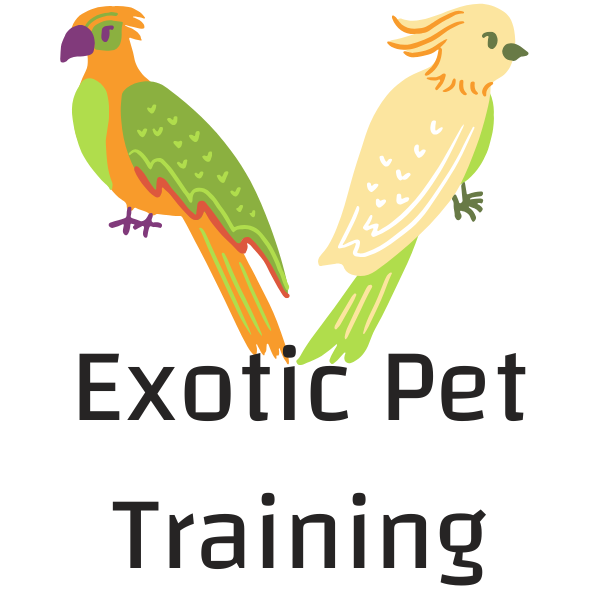 Exotic Pet Training